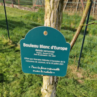 Cadeau naissance - Plaque de plante à personnaliser