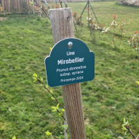 Petite plaque de plante à personnaliser