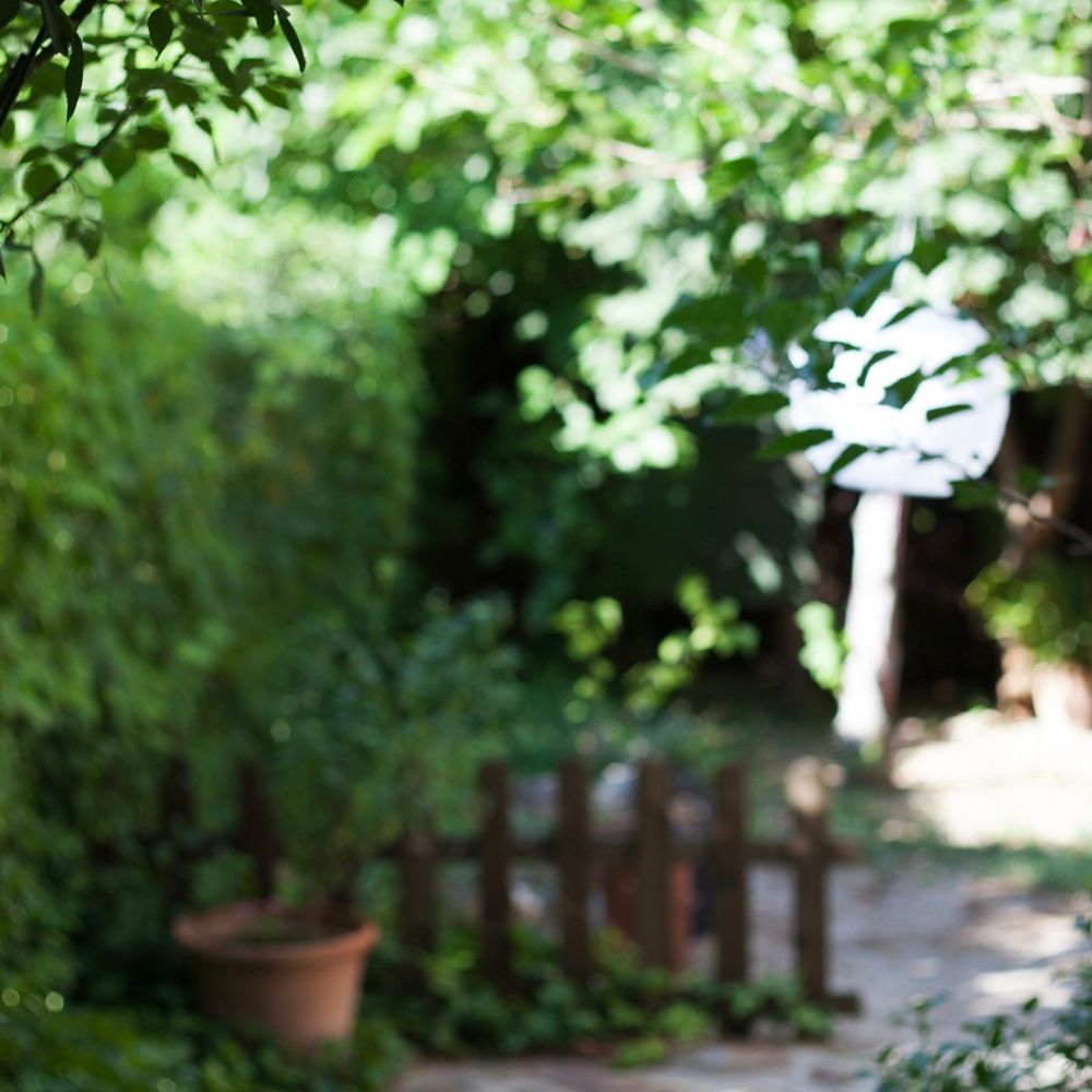 Extérieur Plantes 3