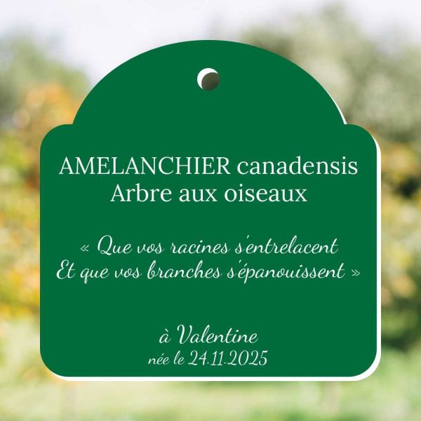 Cadeau naissance - Plaque de plante à personnaliser