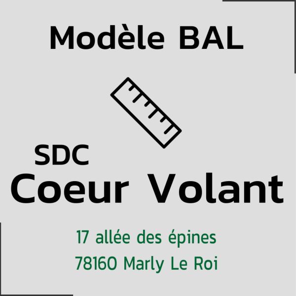 Modèle copropriété SDC Coeur Volant