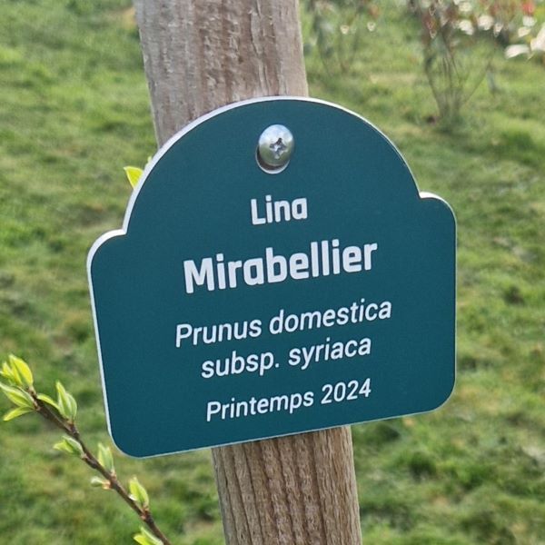 Petite plaque de plante à personnaliser