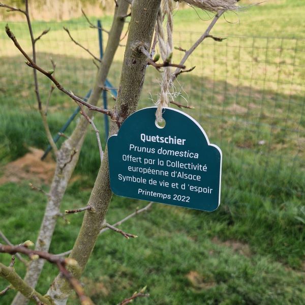 Petite plaque de plante à personnaliser