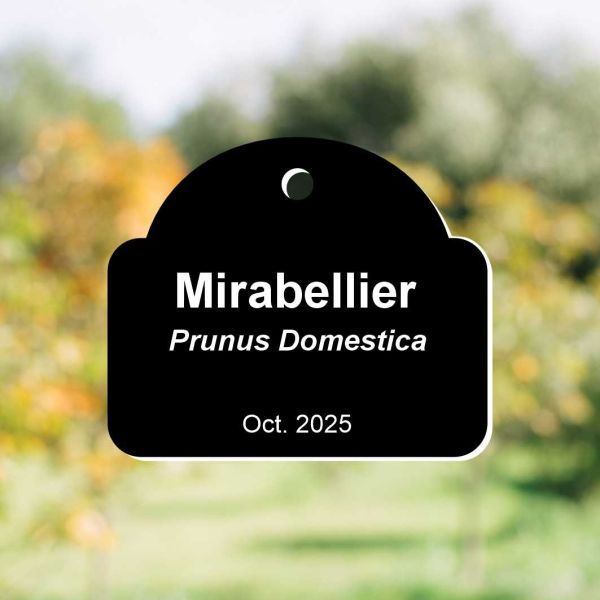 Petite plaque de plante à personnaliser