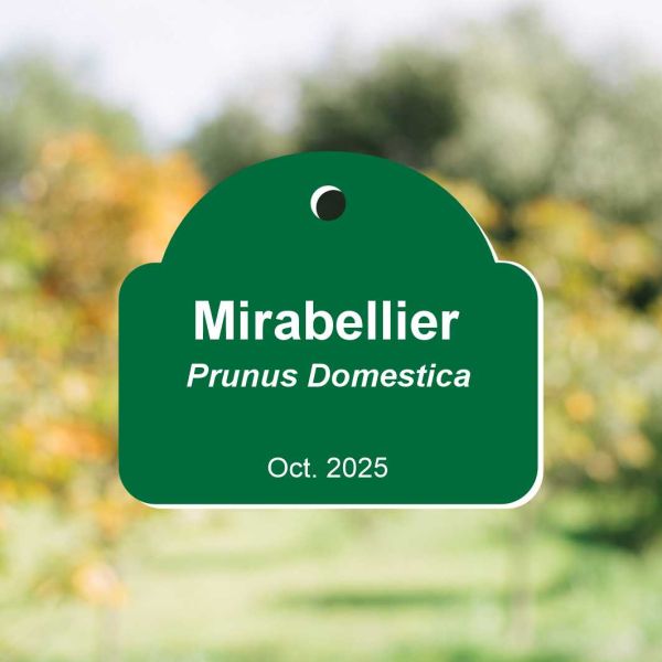 Petite plaque de plante à personnaliser