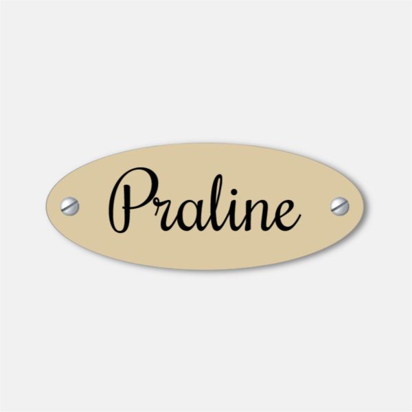 Plaque funéraire chien personnalisable PVC éco