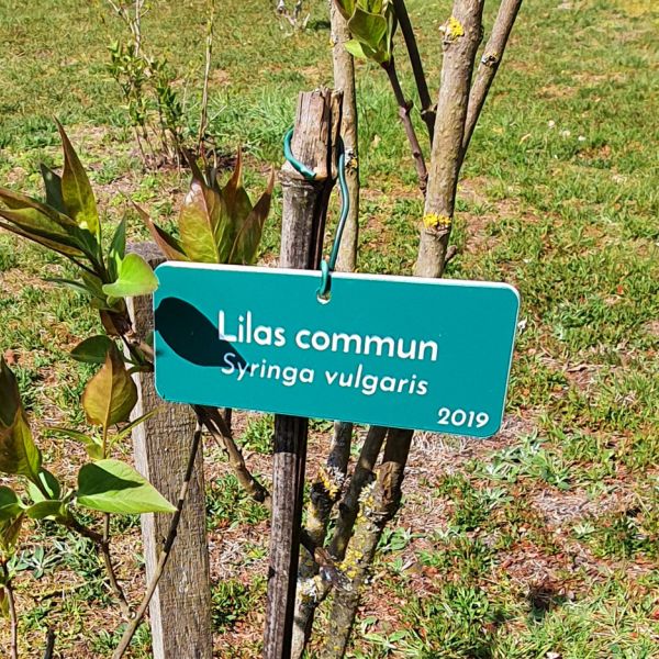 Plaque d'identification de plantes et arbres