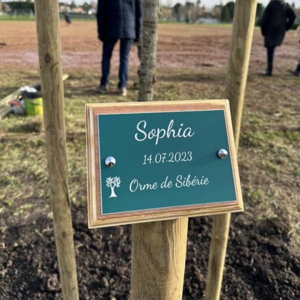 Plaque d'identification de plantes et arbres